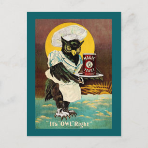 Owl's Magic Yeast Postcard