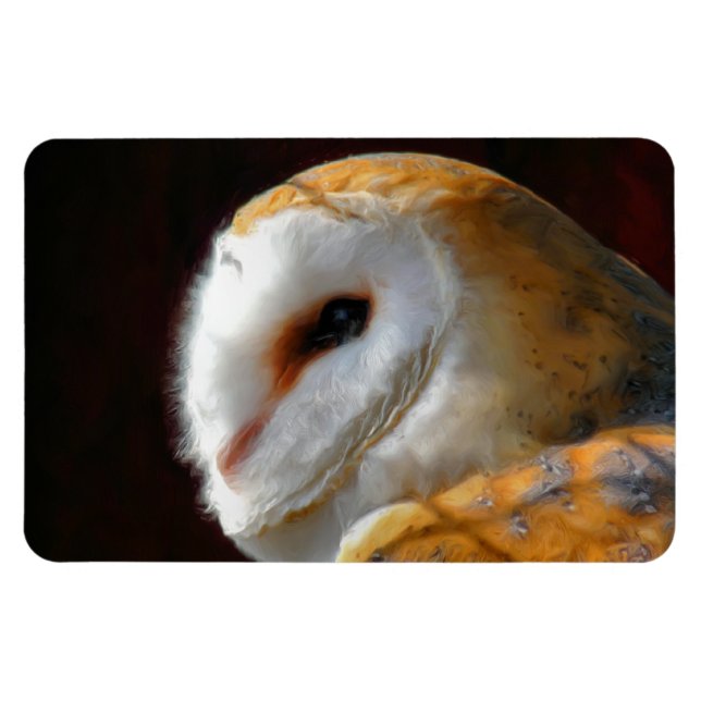 OWLS MAGNET (Horizontal)