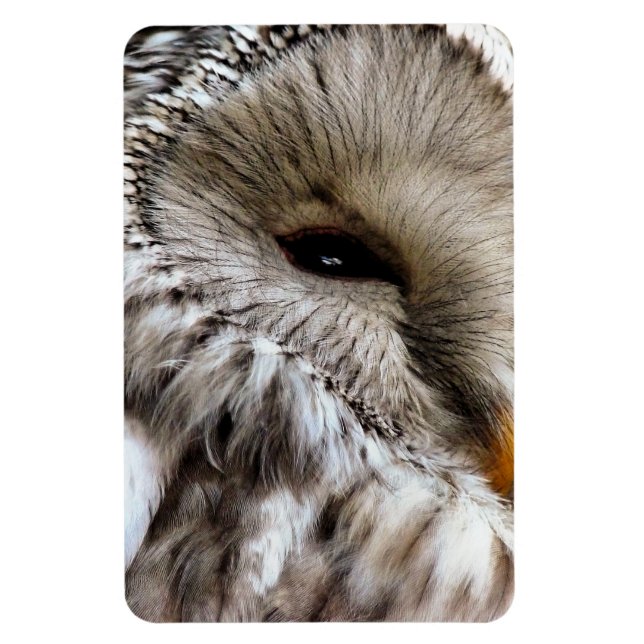 OWLS MAGNET (Vertical)