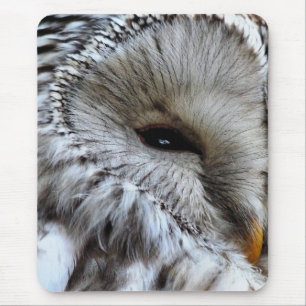 OWLS MOUSE PAD