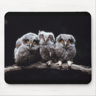 Owls Mouse Pad