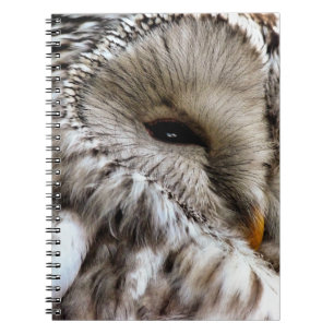 OWLS NOTEBOOK