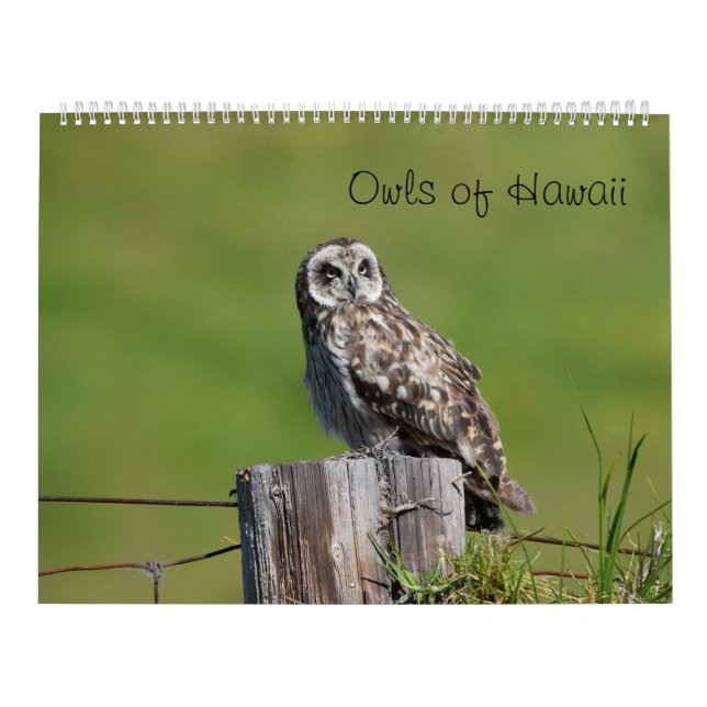 Owls of Hawaii Calendar (Cover)