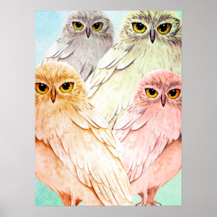 owls poster