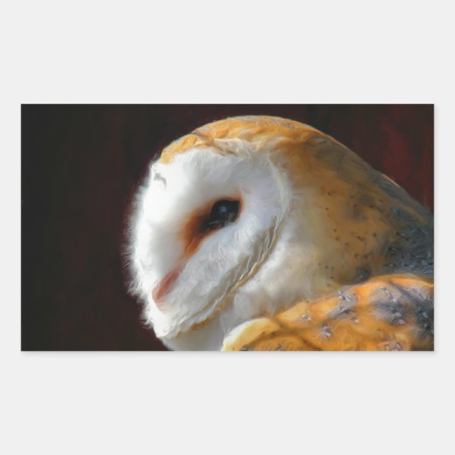 OWLS STICKER (Front)