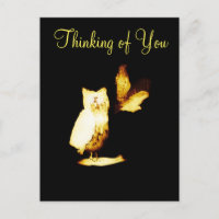 Owls Thinking of You