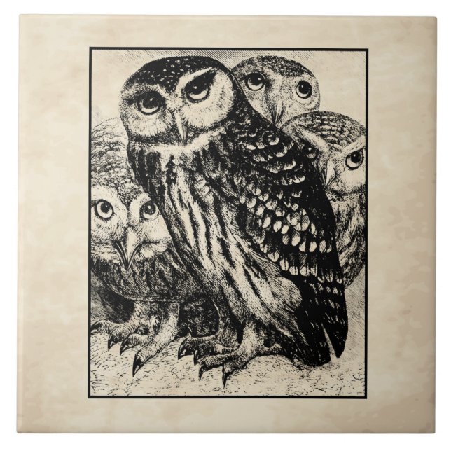 Owls Tile (Front)