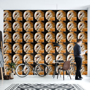 OWLS WALLPAPER