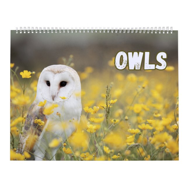 Owls with Beautiful Nature and Forest Scenes  Calendar (Cover)