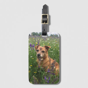 Own dog image luggage tag