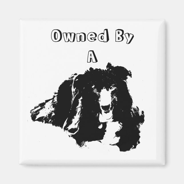 Owned By A Border Collie Cute Dog Magnet (Front)
