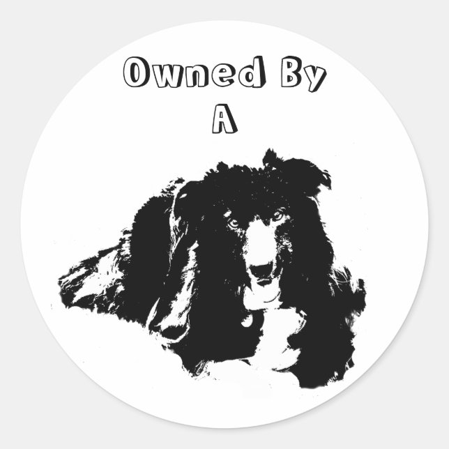 Owned By A Border Collie Funny Dog Sticker (Front)