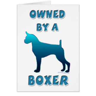 Owned by a Boxer