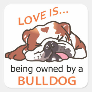 Owned by a Bulldog Square Sticker