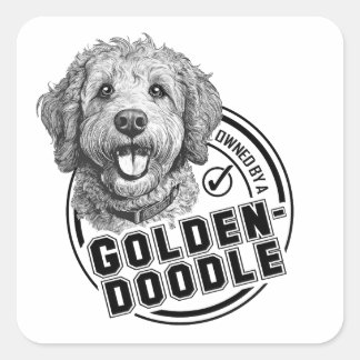 Owned by a Goldendoodle Square Sticker