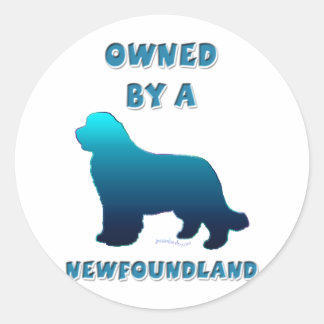 Owned by a Newfoundland Classic Round Sticker
