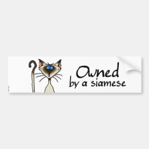 owned by a siamese bumper sticker