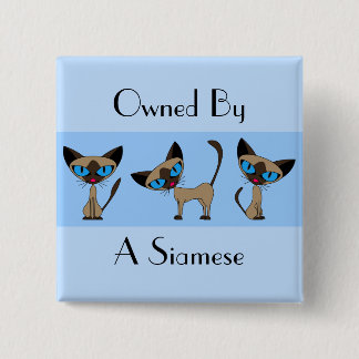 Owned By A Siamese Button