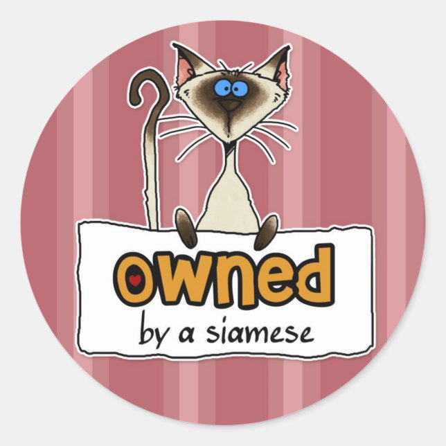 owned by a siamese classic round sticker (Front)