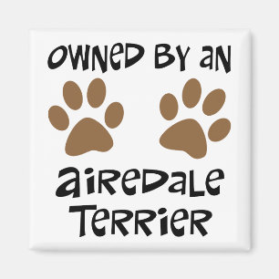 Owned By An Airedale Terrier Magnet