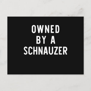 Owned By Schnauzer Funny Dog Lover Gift Christmas Postcard