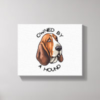 Owned by someone Basset Hound