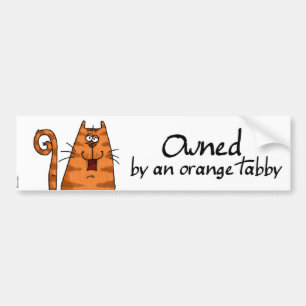 owned orange tabby bumper sticker