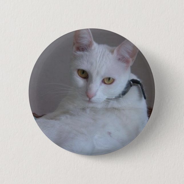 Owo's pets: Pitusa 2 Inch Round Button (Front)