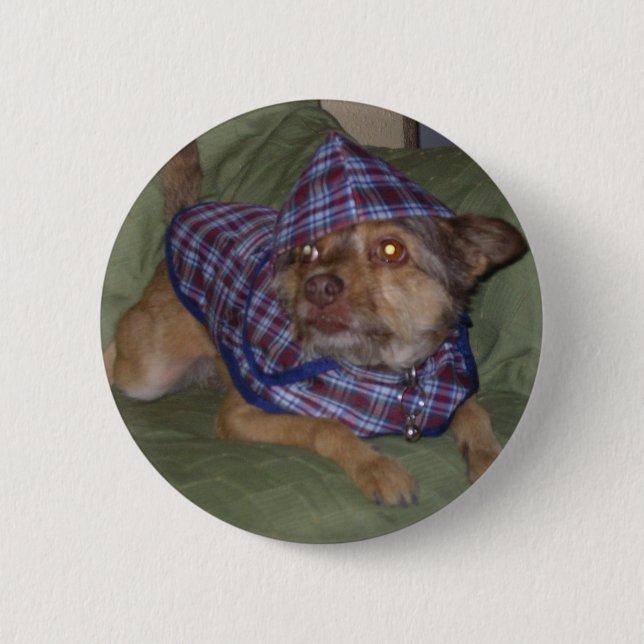 Owo's pets: Scooby 2 Inch Round Button (Front)