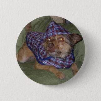 Owo's pets: Scooby 2 Inch Round Button