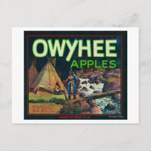 Owyhee Apple Crate LabelNampa, ID Postcard