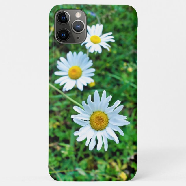 Ox-Eye Daisies Case-Mate iPhone Case (Back)