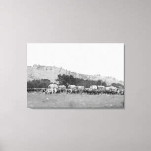 Ox Trains between Sturgis and Deadwood Photograp Canvas Print