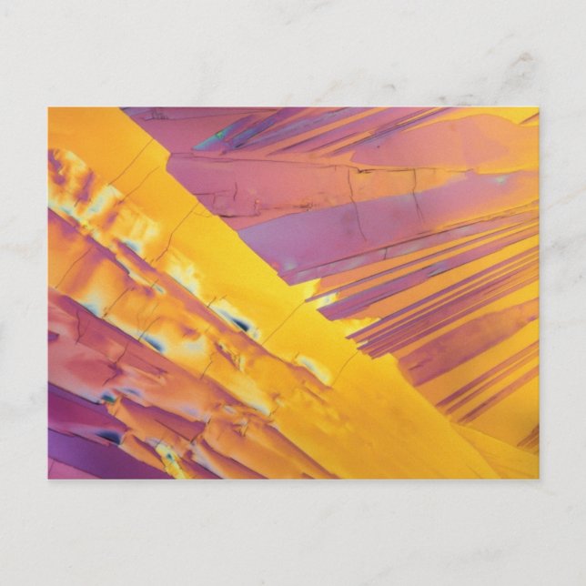 Oxalic Acid Crystals Postcard (Front)