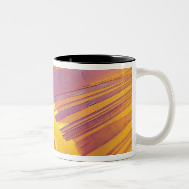 Oxalic Acid Crystals Two-Tone Coffee Mug (Right)