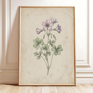 Oxalis Flower Vintage Farmhouse Art Print