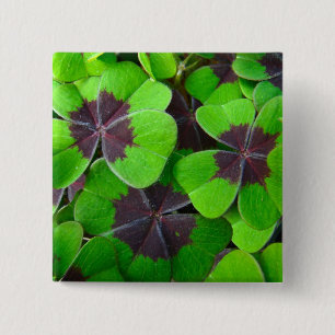 Oxalis Leaves - Red and Green 2 Inch Square Button