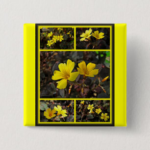 Oxalis Yellow-Flowered Houseplant 2 Inch Square Button
