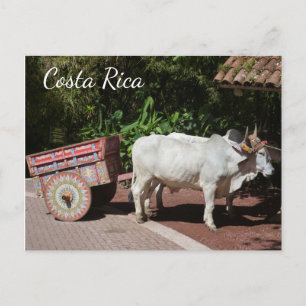 Oxcart, Costa Rica Postcard
