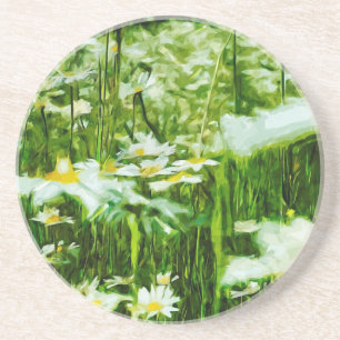 Oxeye Daisy Abstract Impressionism Coaster