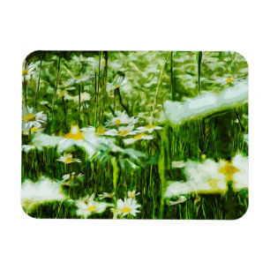Oxeye Daisy Abstract Impressionism Magnet
