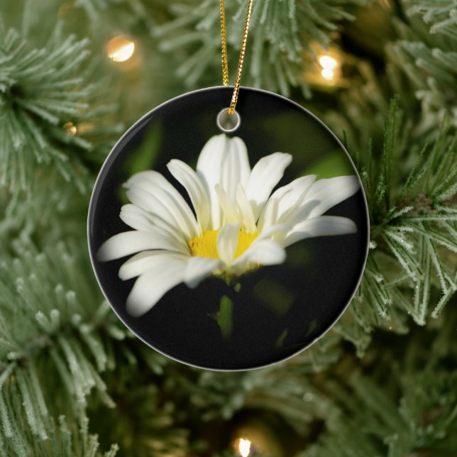 Oxeye Daisy Round Ornament (Tree)