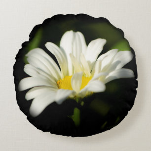 Oxeye Daisy Round Pillow