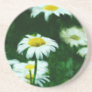 Oxeye White Daisies Abstract Impressionism Coaster