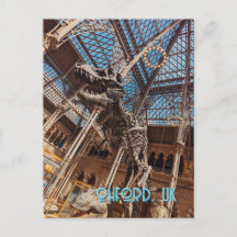 Oxford Natural History Museum Postcard T-Rex Dinos
