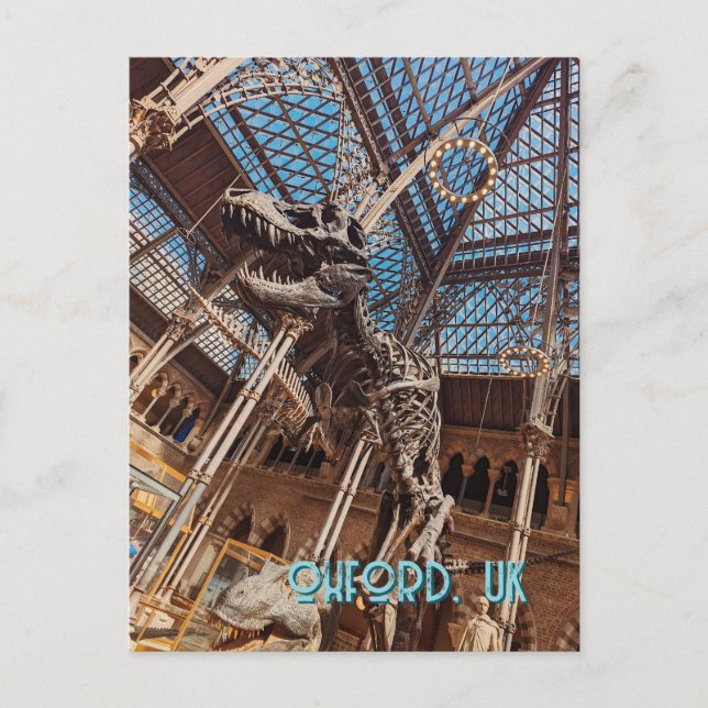 Oxford Natural History Museum Postcard T-Rex Dinos (Front)