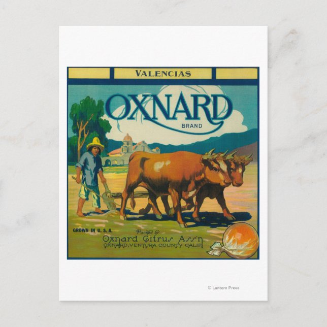 Oxnard Orange LabelOxnard, CA Postcard (Front)