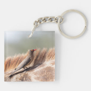 Oxpecker on a giraffe keychain