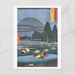 Oyama From Ono Hoki Postcard