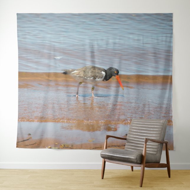 Oyster Catcher Oiseau rare Photo Tapisserie (En situation (horizontale))